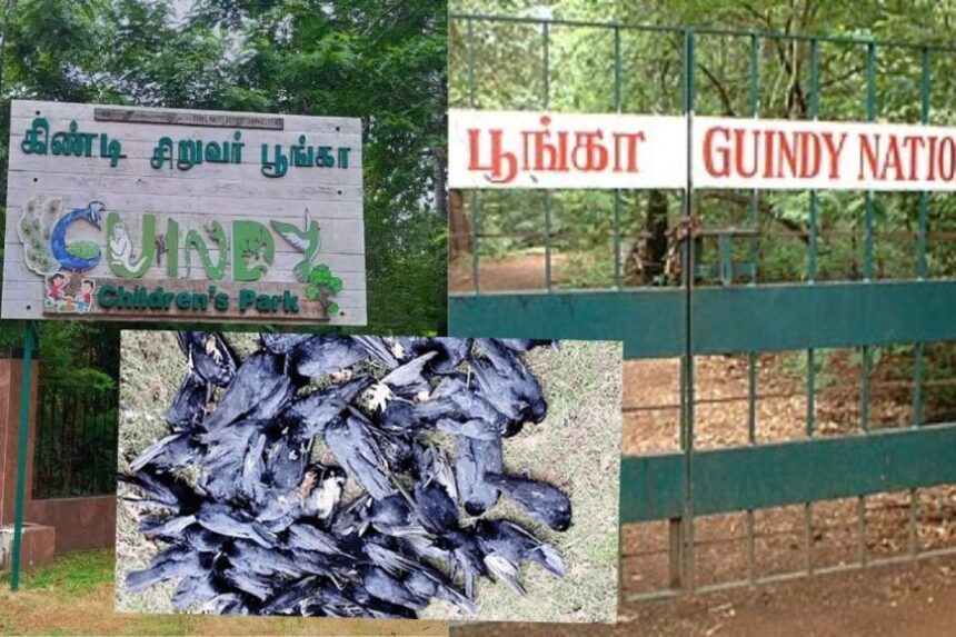 பறவை காய்ச்சல் எதிரொலி, 20-க்கும் மேற்பட்ட பறவைகள் உயிரிழப்பு: கிண்டி சிறுவர் பூங்கா மூடல்  