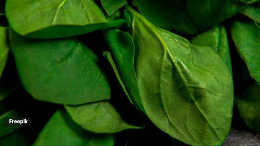 Spinach ‘helps regulate blood sugar levels,’ but experts warn you against having it raw — here’s why Spinach ‘helps regulate blood sugar levels,’ but experts warn you against having it raw — here’s why