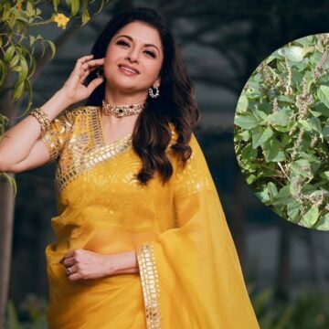 ‘Raise your immunity’: Bhagyashree’s shares ultimate ‘pollution-proof’ diet hack