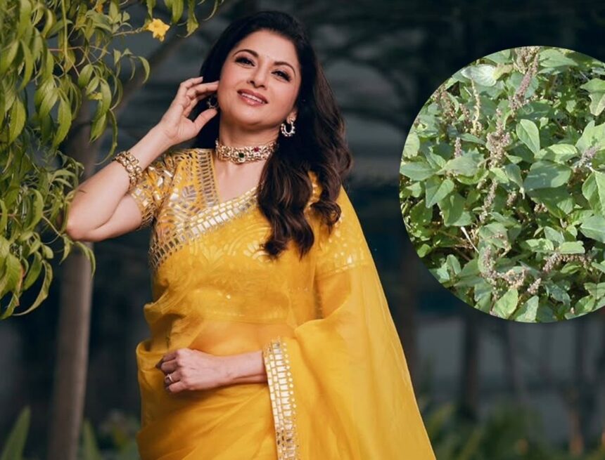‘Raise your immunity’: Bhagyashree’s shares ultimate ‘pollution-proof’ diet hack