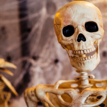 ‘Are bones wet? They must be, right? Is the circulatory system not a closed system?’
