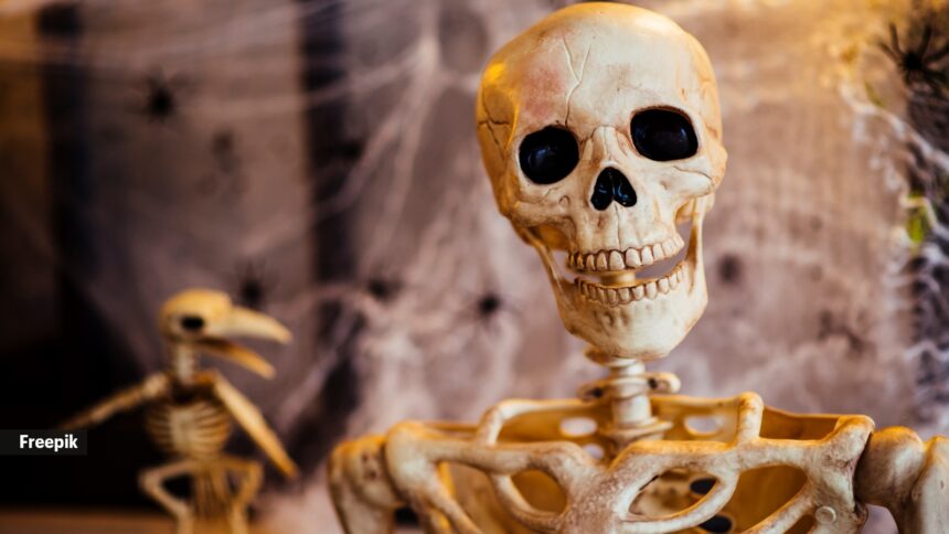 ‘Are bones wet? They must be, right? Is the circulatory system not a closed system?’