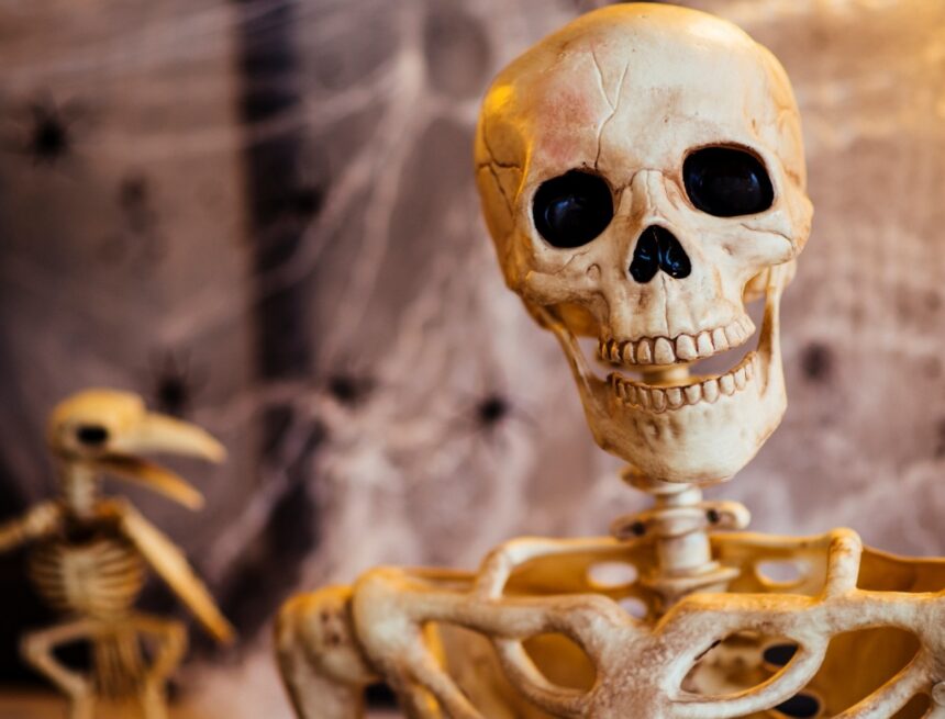 ‘Are bones wet? They must be, right? Is the circulatory system not a closed system?’