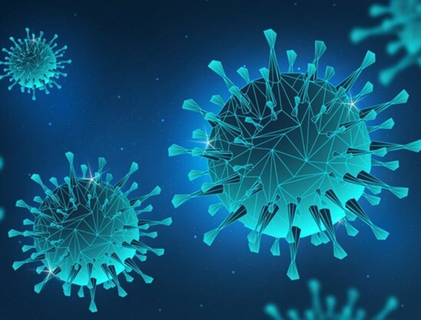 ‘Local health outbreak can now turn global in days’: Experts on pandemic preparedness