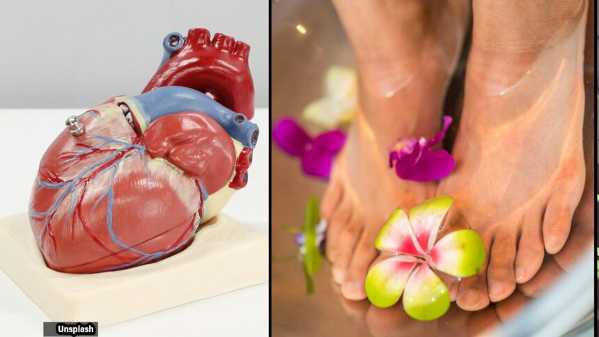 Slow-healing wounds, hair loss, and cold toes: When to see a doctor for potential heart issues