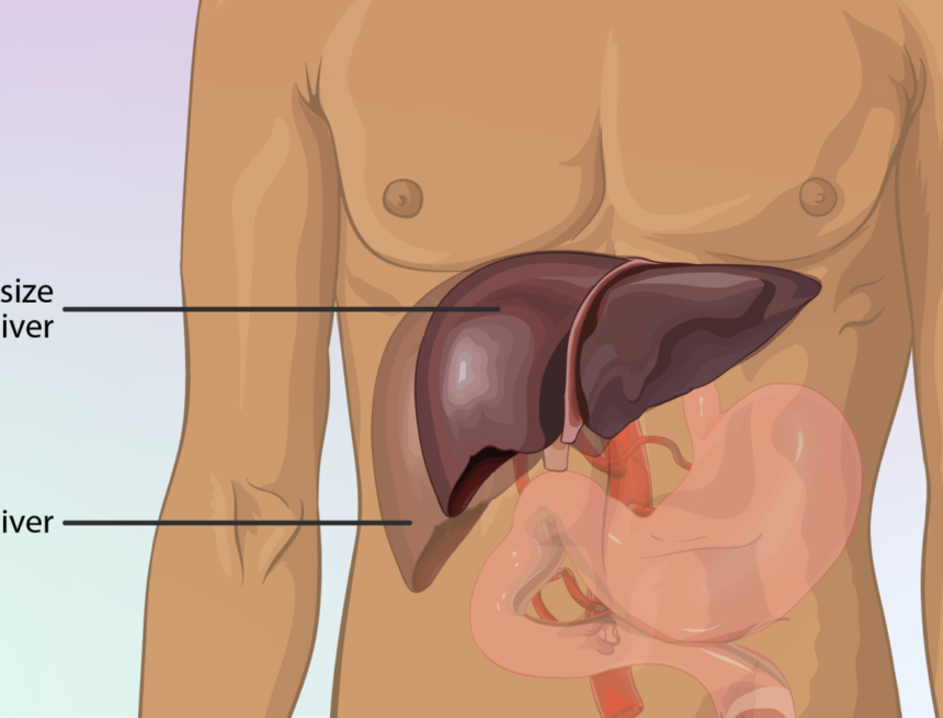 The midnight myth: Why waking up between 1 AM and 3 AM doesn’t mean your liver is failing The midnight myth: Why waking up between 1 AM and 3 AM doesn’t mean your liver is failing