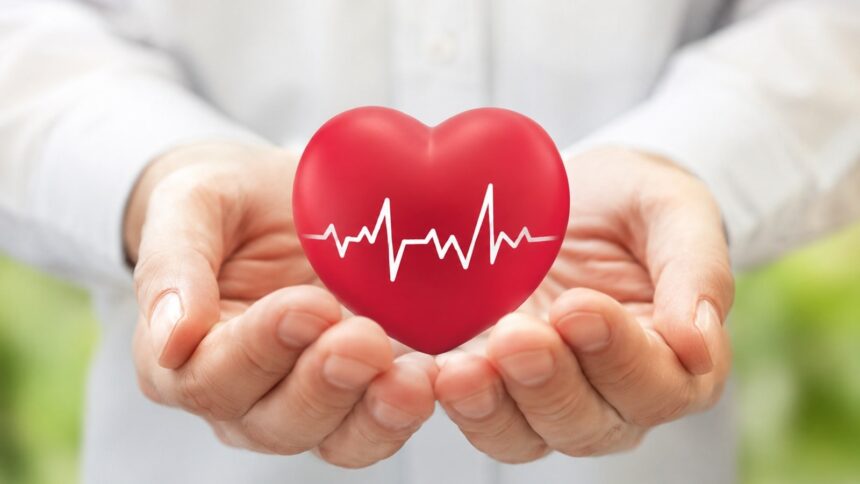 Why heart is among the most cancer-resistant organs: ‘Highly vulnerable to…’