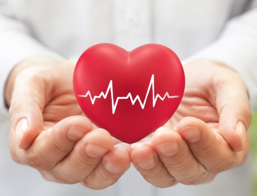 Why heart is among the most cancer-resistant organs: ‘Highly vulnerable to…’
