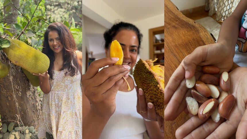 As Sameera Reddy enjoys jackfruit seeds, we find out health benefits