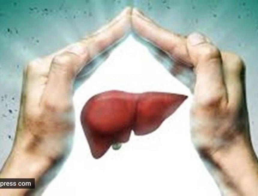 Health Ministry’s new liver health advice: Check your ALT levels Health Ministry’s new liver health advice: Check your ALT levels