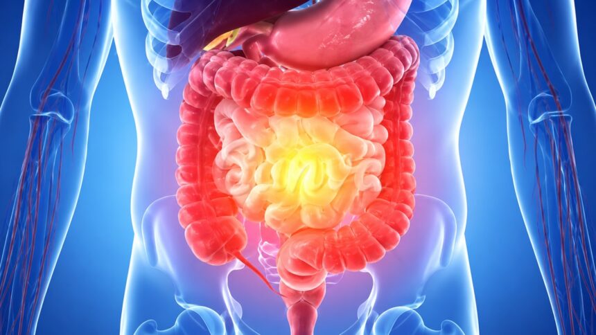 Most common gut health myths busted: ‘Not having a bowel movement…’