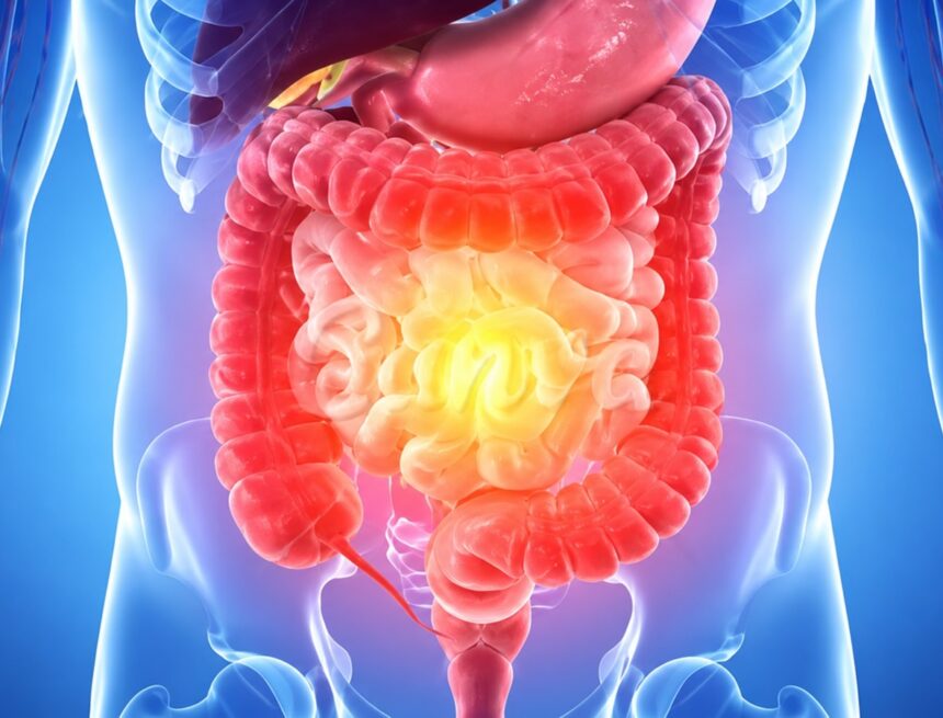 Most common gut health myths busted: ‘Not having a bowel movement…’