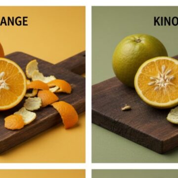 Orange vs Kinnow: Which should you pick for a vitamin C boost?