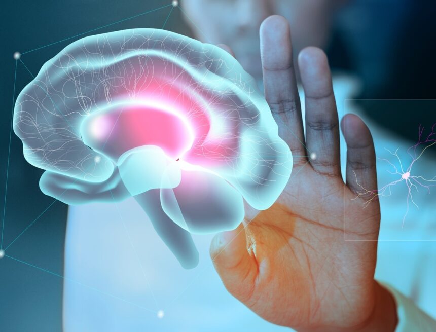 The Menin breakthrough: How a newly identified brain protein could reverse aging The Menin breakthrough: How a newly identified brain protein could reverse aging