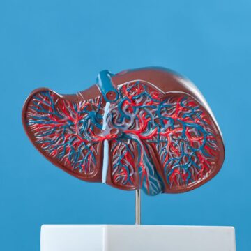 Early signs of liver disease: 5 symptoms you should never ignore Early signs of liver disease: 5 symptoms you should never ignore