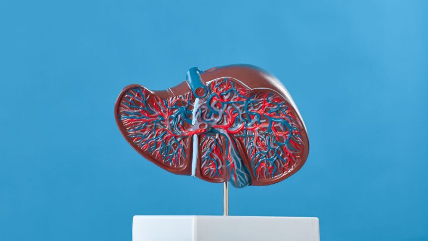 Early signs of liver disease: 5 symptoms you should never ignore