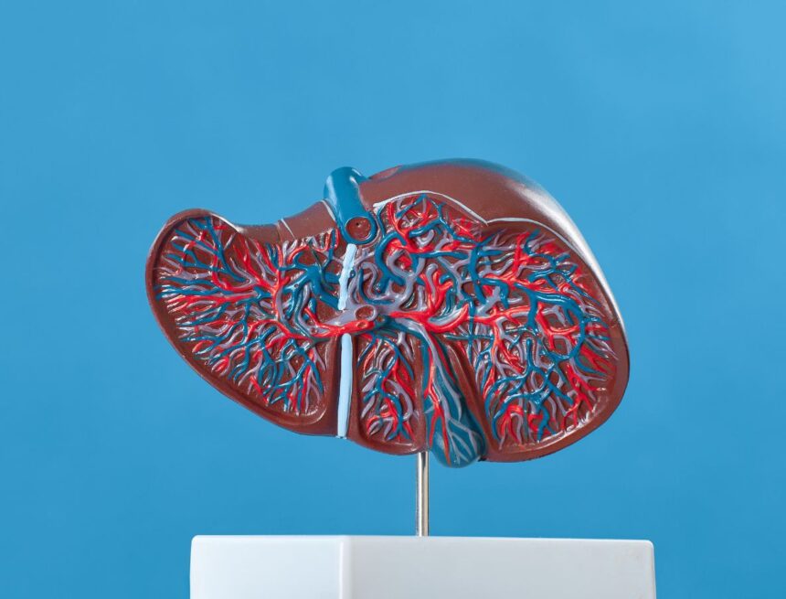 Early signs of liver disease: 5 symptoms you should never ignore Early signs of liver disease: 5 symptoms you should never ignore