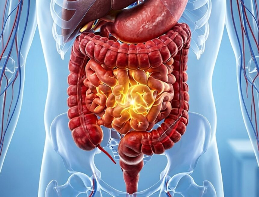 How the gut microbiome changes after 45 and why it matters for your health