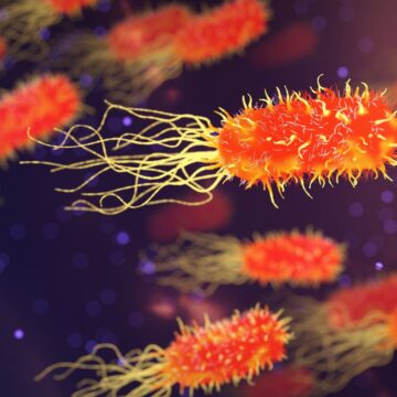 Legionnaires’ disease outbreak: What to know after fourth death in New York City