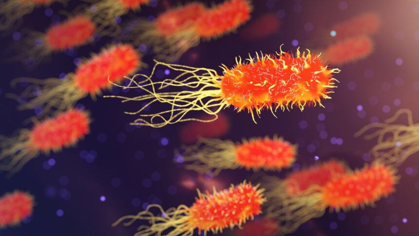 Legionnaires’ disease outbreak: What to know after fourth death in New York City Legionnaires’ disease outbreak: What to know after fourth death in New York City