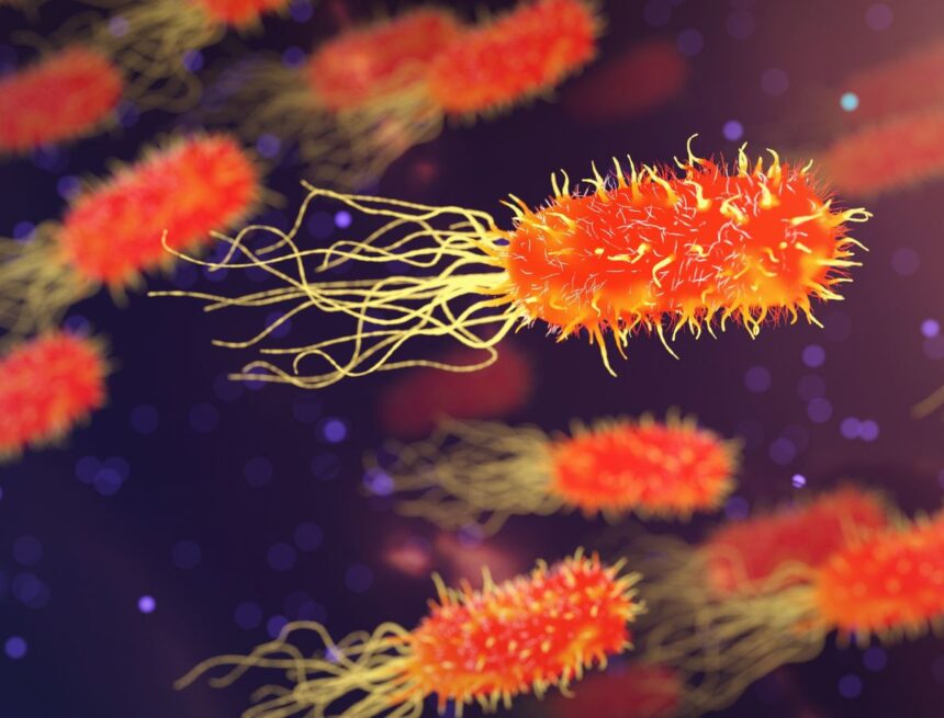 Legionnaires’ disease outbreak: What to know after fourth death in New York City