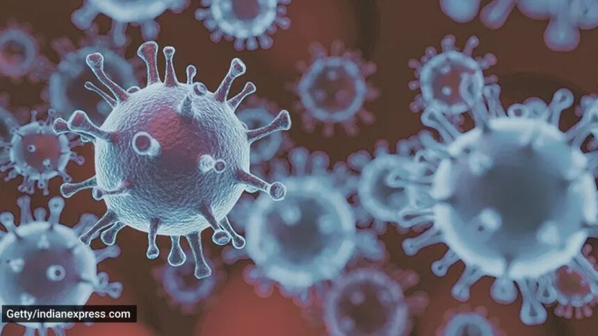 New Covid variants BA.2.86, RF.5: Symptoms, risks and precautions