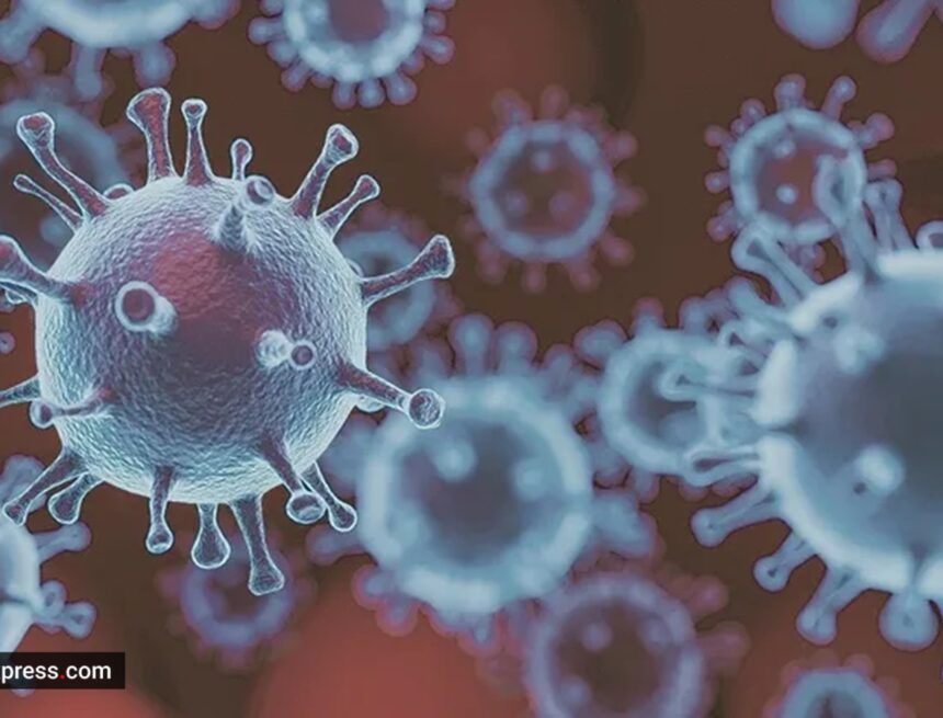 New Covid variants BA.2.86, RF.5: Symptoms, risks and precautions