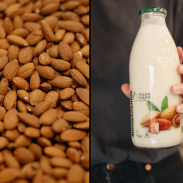 Almond milk or whole almonds: Experts explain which is healthier