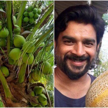 Madhavan once grew 70% of his vegetables on his Mumbai terrace, revived barren land in TN