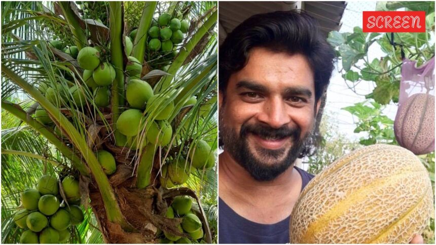 Madhavan once grew 70% of his vegetables on his Mumbai terrace, revived barren land in TN Madhavan once grew 70% of his vegetables on his Mumbai terrace, revived barren land in TN