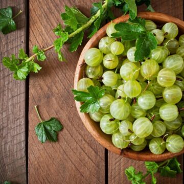 This ₹5 fruit ‘has at least 50 benefits’: Expert explains what amla can — and can’t — do