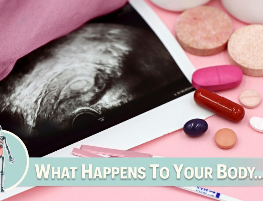This is what happens to the body after stopping fertility treatment