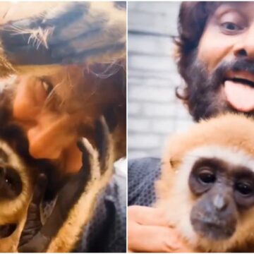 Trouble for Vikram after viral lar gibbon video sparks row; Forest Department to probe