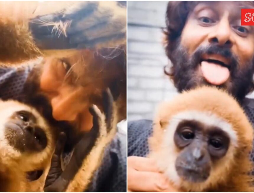 Trouble for Vikram after viral lar gibbon video sparks row; Forest Department to probe