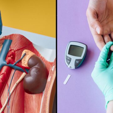 Your kidneys do more than filter waste: Here’s how they help control blood sugar