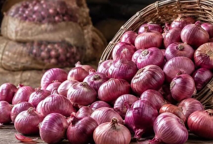 ஒரு கிலோ வெங்காயம் ரூ.35…. சென்னை ரேஷன் கடையில் தொடங்கிய விற்பனை..!