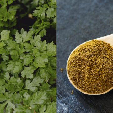 FSSAI recalls coriander powder and Carrageenan over safety concerns: ‘Submitted sample was unsafe’ FSSAI recalls coriander powder and Carrageenan over safety concerns: ‘Submitted sample was unsafe’