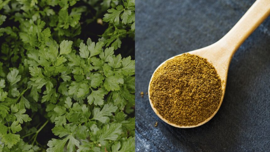 FSSAI recalls coriander powder and Carrageenan over safety concerns: ‘Submitted sample was unsafe’