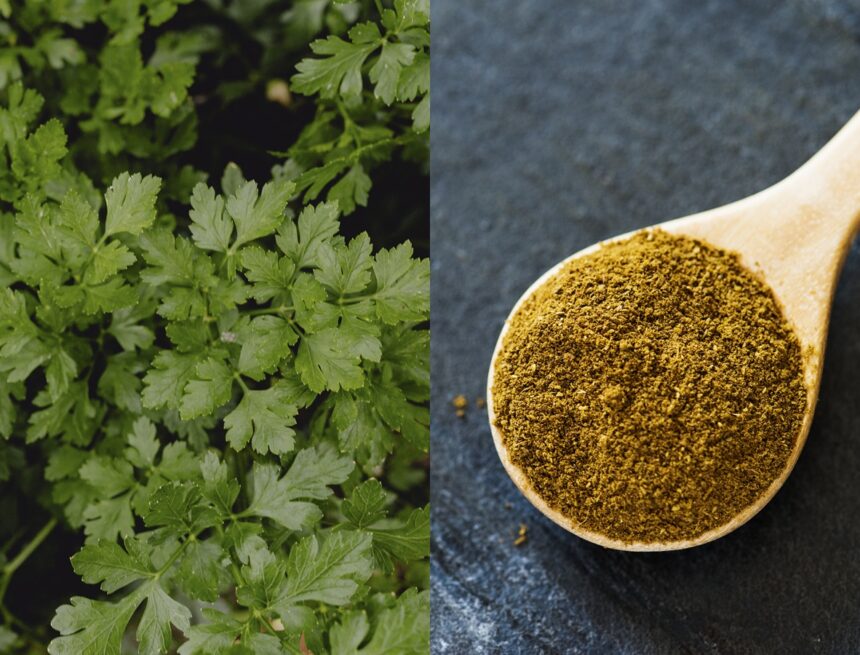 FSSAI recalls coriander powder and Carrageenan over safety concerns: ‘Submitted sample was unsafe’ FSSAI recalls coriander powder and Carrageenan over safety concerns: ‘Submitted sample was unsafe’