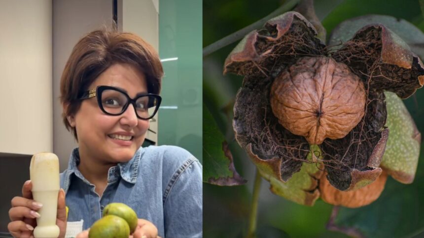Hina Khan remembers eating fresh walnuts as a child; how they differ from dried ones