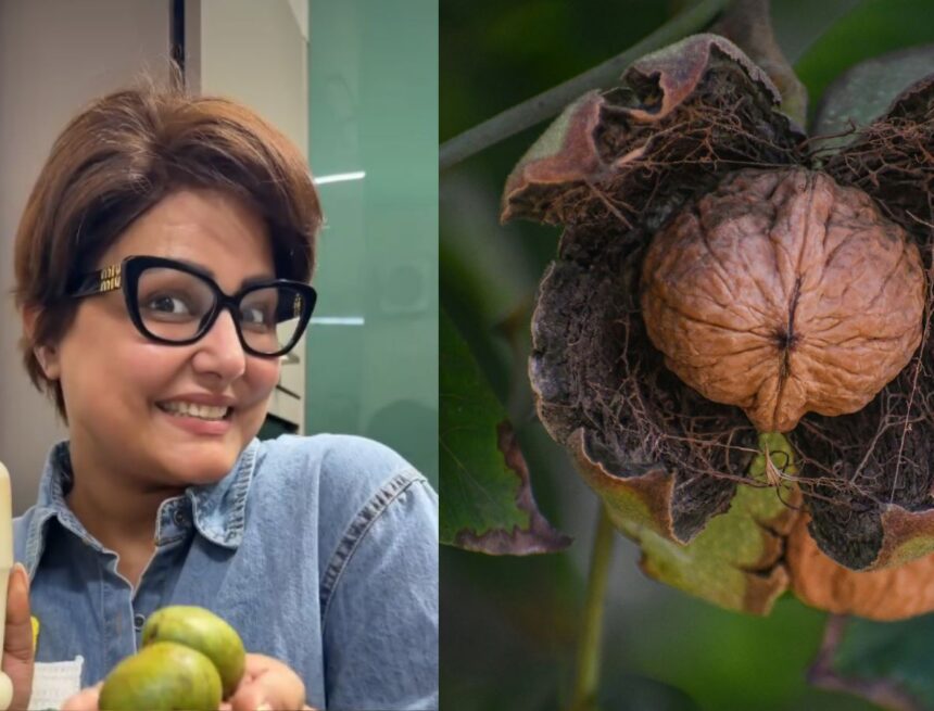 Hina Khan remembers eating fresh walnuts as a child; how they differ from dried ones