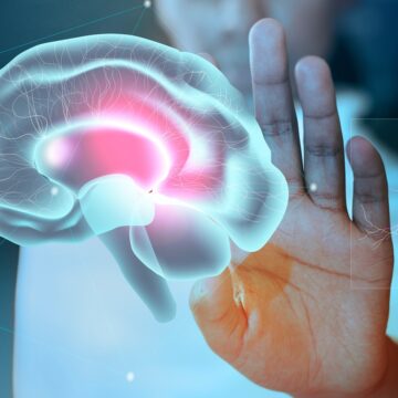 ‘The brain is two organs’: What Stanford scientists discovered about how it develops