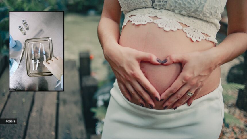 Vaccination during pregnancy: Which vaccines are safe and which should you avoid? Vaccination during pregnancy: Which vaccines are safe and which should you avoid?