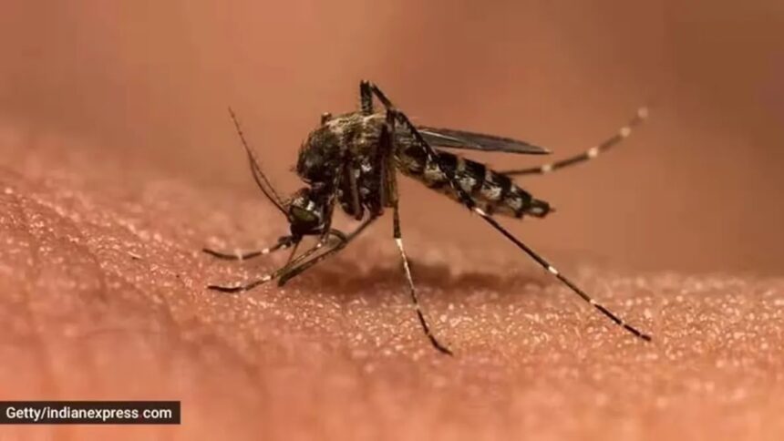X user shares long recovery journey after getting dengue thrice in 18 months: ‘Mosquitoes have a type’