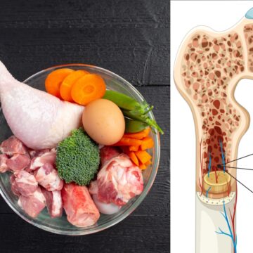 What protein means for your bone health What protein means for your bone health